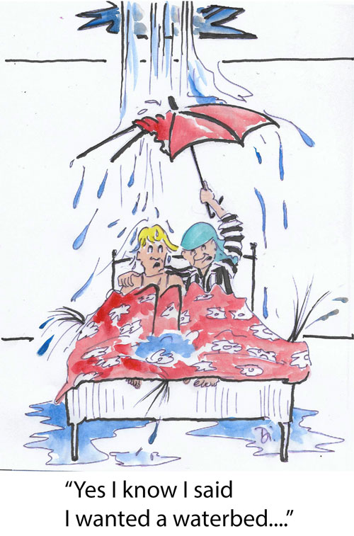 Waterbed. Cartoon by Di Lorriman